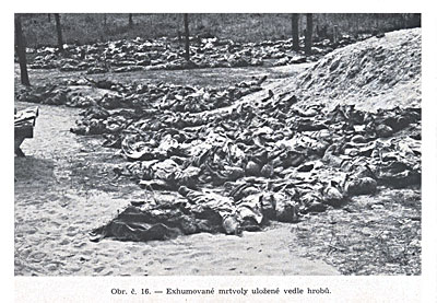 Эксгумированные трупы, уложенные возле могил