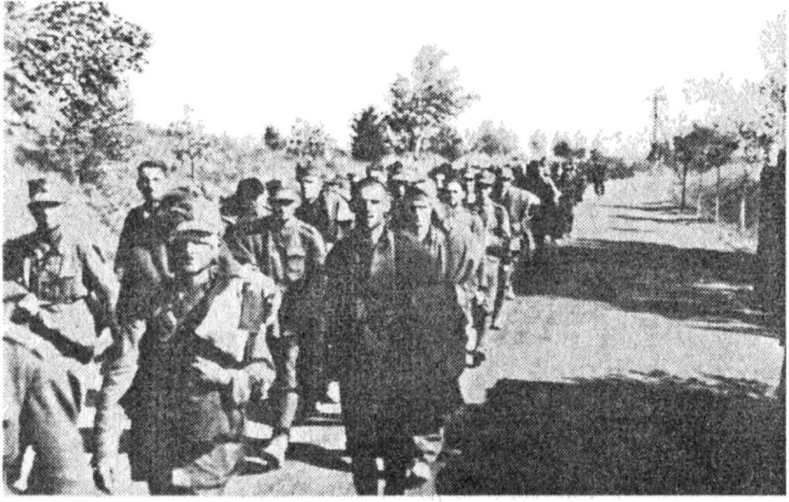 Колонна польских солдат, захваченных в плен во время ожесточенных боев под Кутно. 20 сентября 1939 г