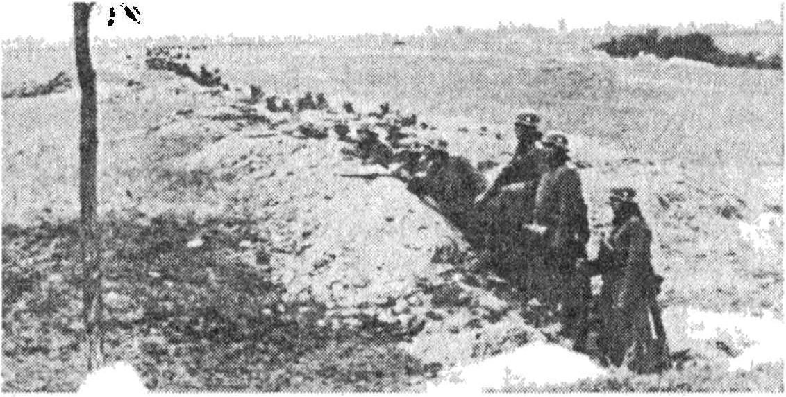 Немецкая пехота, окопавшаяся на подступах к Модлину