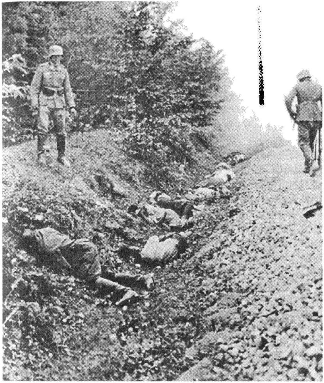 Лики войны. Расстрелянные польские военнопленные, 8 сентября 1939 г