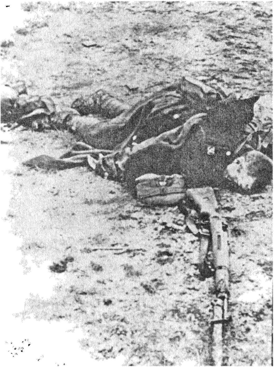Убитый в ходе штыковой атаки польский солдат 30-го пехотного полка. Битва на Бзурс
