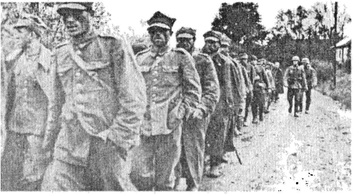 Колонна пленных польских солдат и офицеров