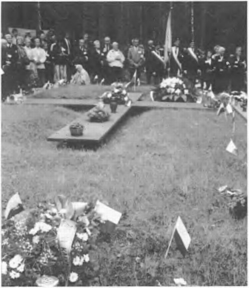 Открытие Мемориала «Катынь» 28 июля 2000 г. Братские могилы под лежачими деревянными крестами (фото П. Черемушкина)